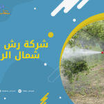 شركة رش مبيدات شمال الرياض