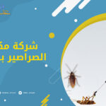 شركة مكافحة الصراصير بالرياض