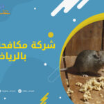 شركة مكافحة الفئران بالرياض