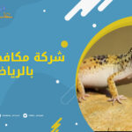 شركة مكافحة الوزغ بالرياض
