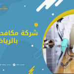 شركة مكافحة حشرات بالرياض