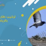 تركيب طارد حمام بالرياض