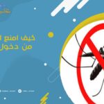 كيف امنع الحشرات من دخول بيتي؟
