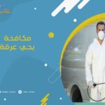 مكافحة حشرات بحي عرقة الرياض